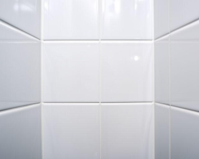 Shower stall with crisp tile edges, refreshed grout, and a clean reflective finish after cleaning