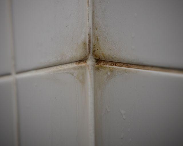Shower stall with soap residue, stained corners, and discoloured grout before cleaning